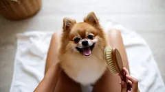 Vachtverzorging per hondenvacht: tips voor een glanzende en gezonde hond