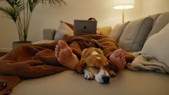 De verborgen betekenis achter het slapen van je hond aan je voeten